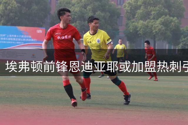 埃弗顿前锋恩迪亚耶或加盟热刺引球迷热议